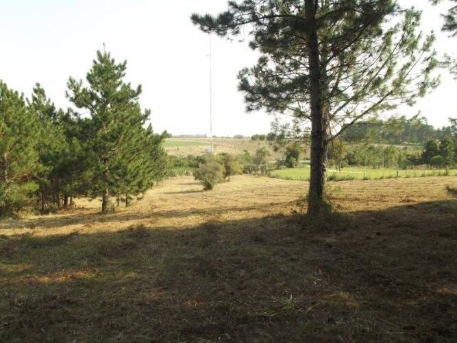 Terreno, 8 hectares - Foto 17