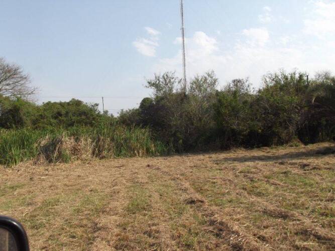 Terreno, 8 hectares - Foto 20