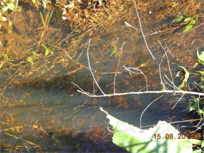 Terreno, 8 hectares - Foto 21