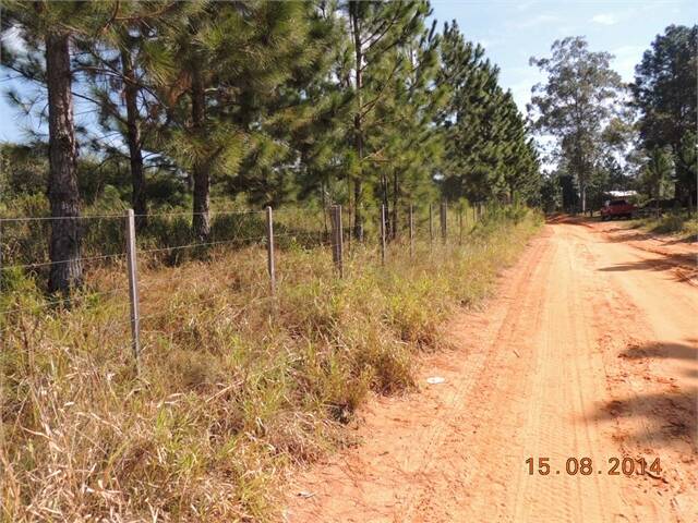 Terreno, 8 hectares - Foto 22