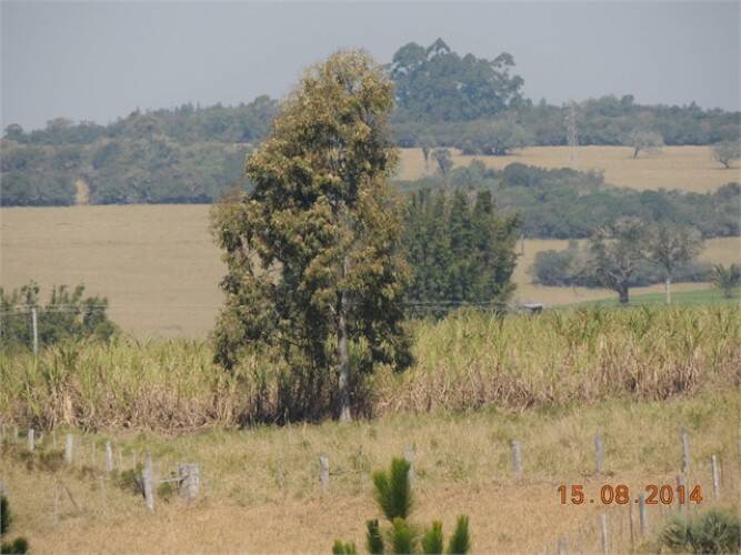 Terreno, 8 hectares - Foto 23