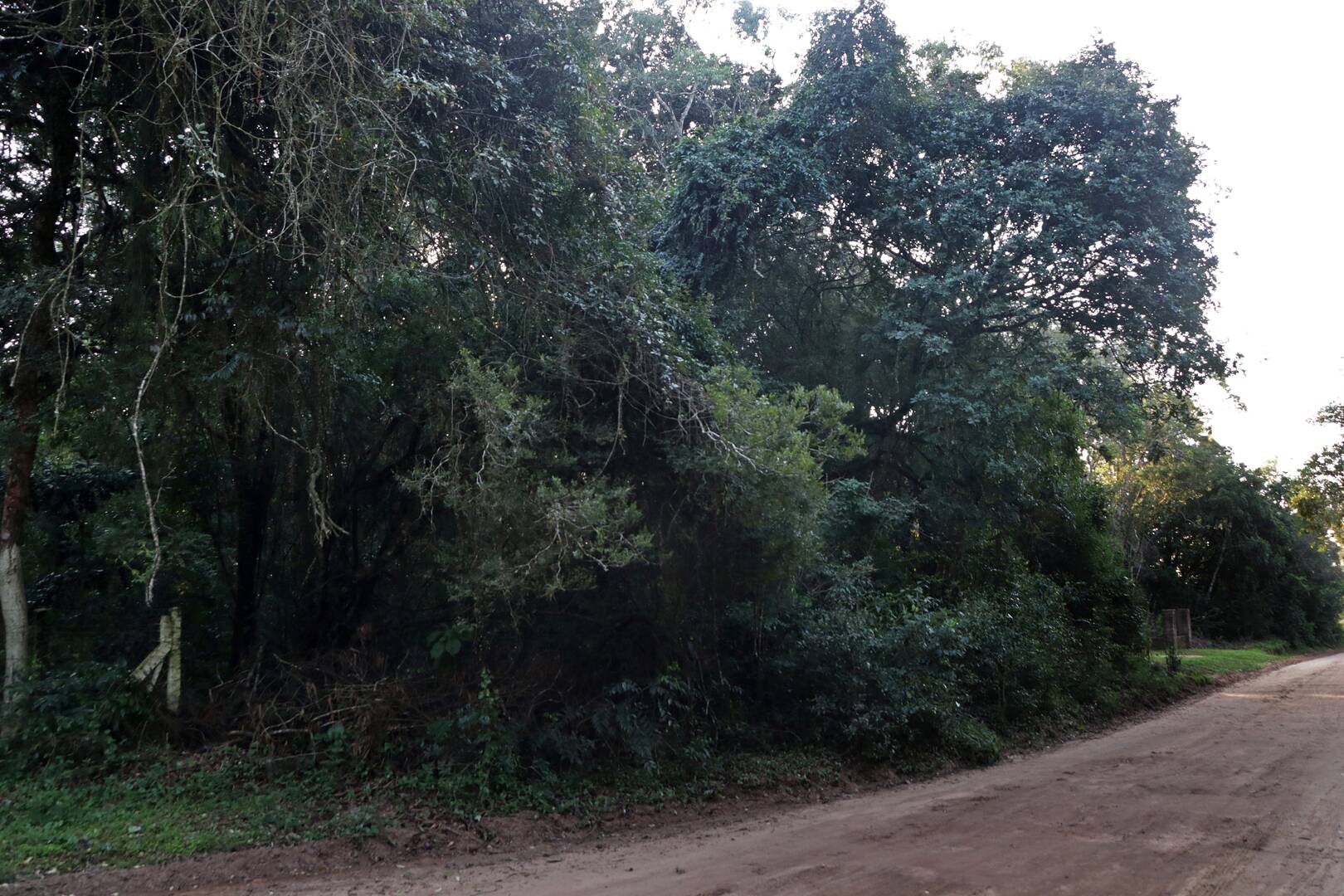 Terreno, 1350 m² - Foto 8