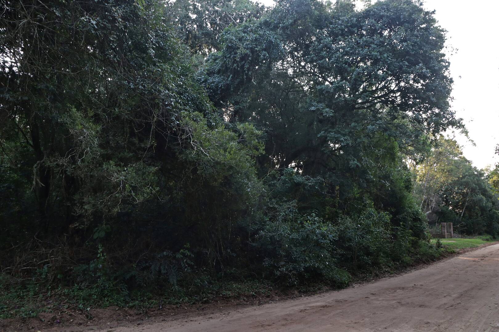 Terreno, 1350 m² - Foto 9