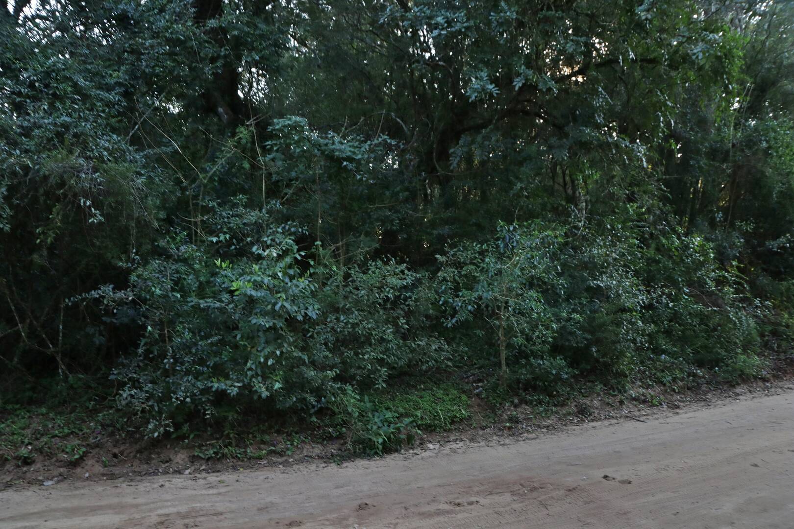 Terreno, 1350 m² - Foto 10