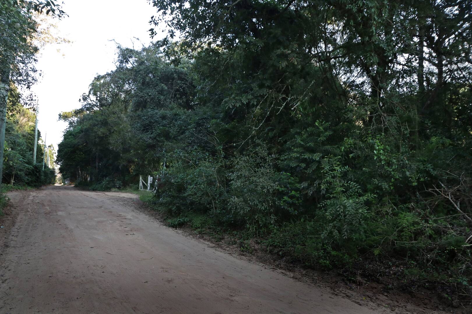 Terreno, 1350 m² - Foto 4