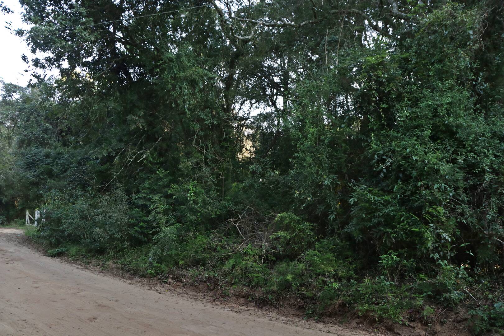 Terreno, 1350 m² - Foto 11