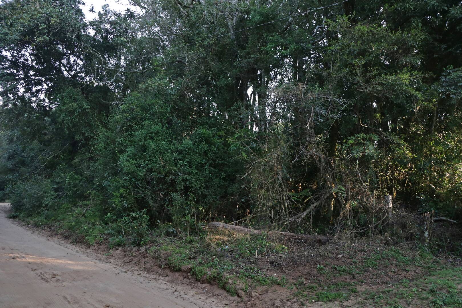 Terreno, 1350 m² - Foto 7