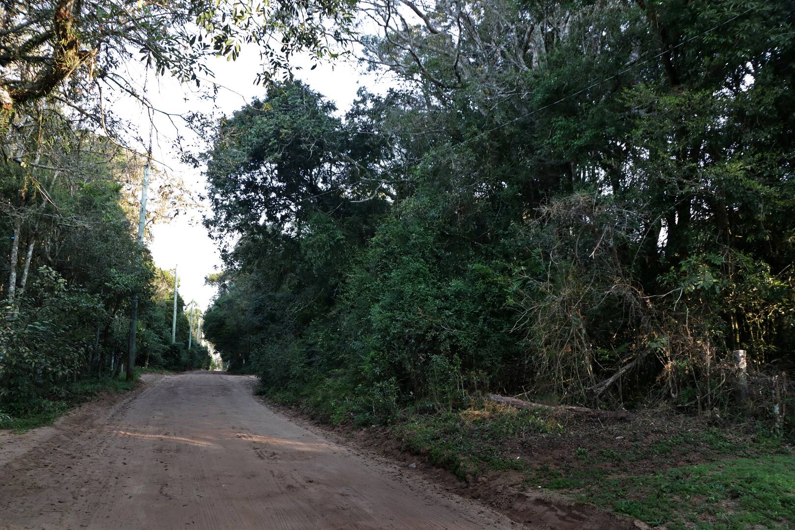 Terreno, 1350 m² - Foto 13