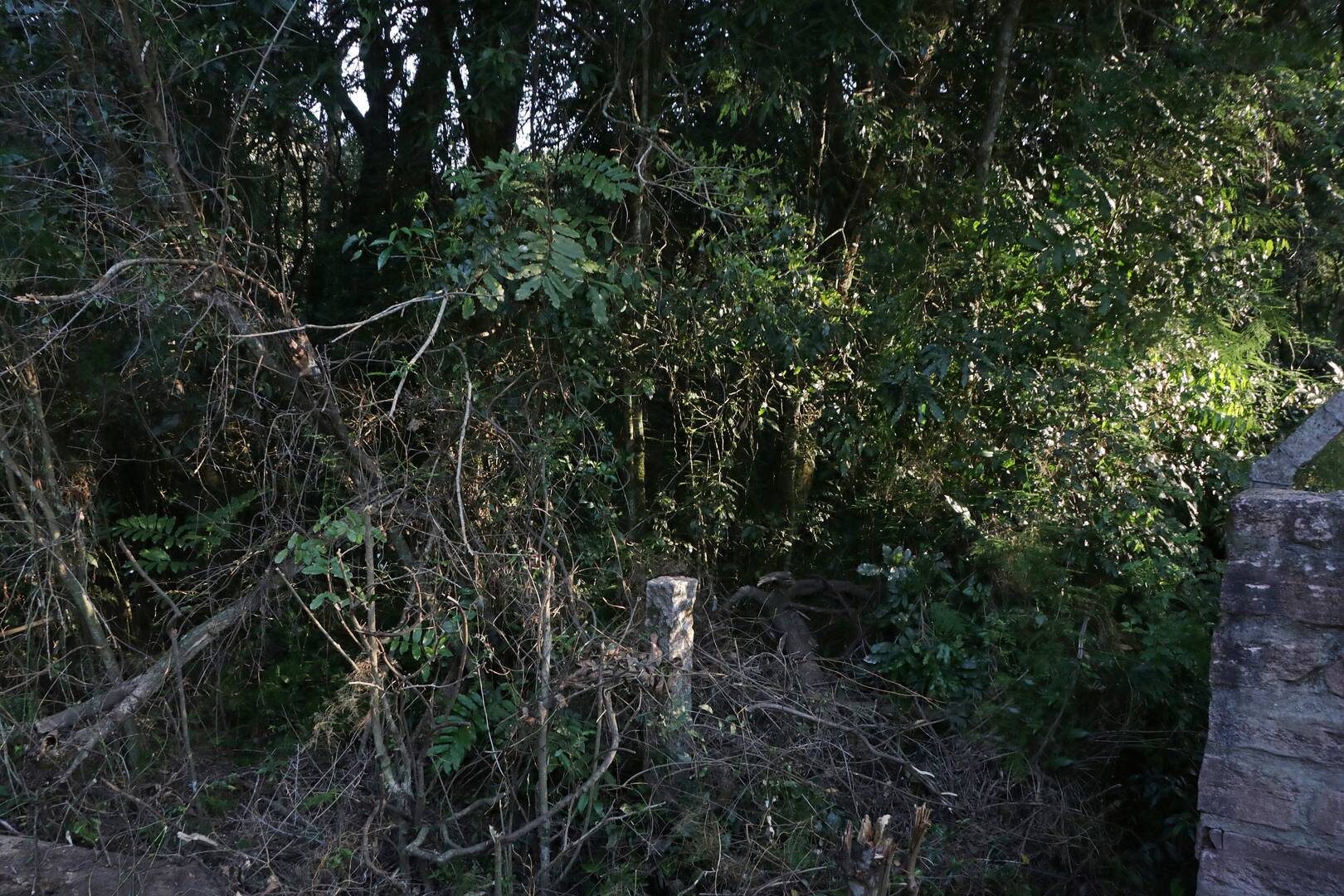 Terreno, 1350 m² - Foto 14