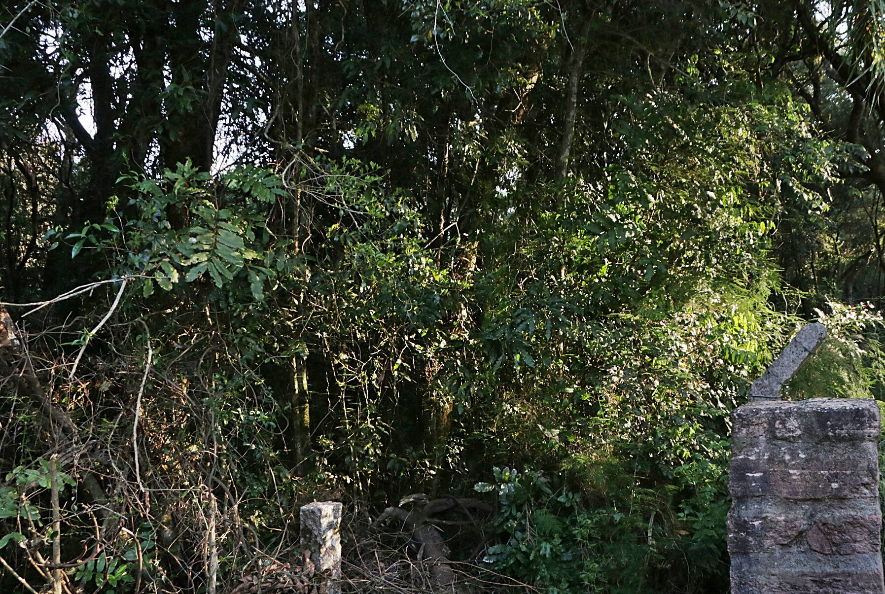 Terreno, 1350 m² - Foto 15