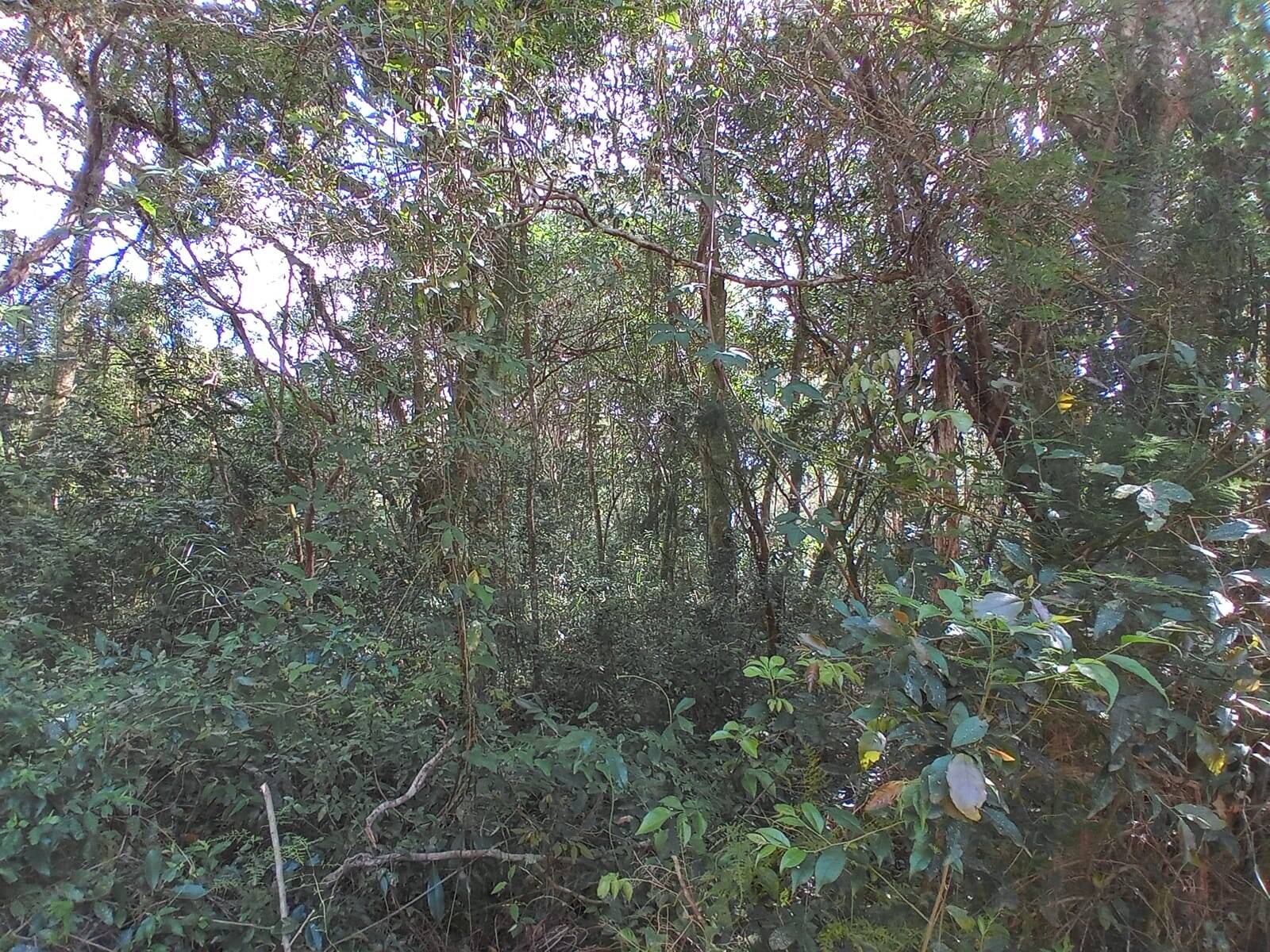 Terreno, 1350 m² - Foto 5