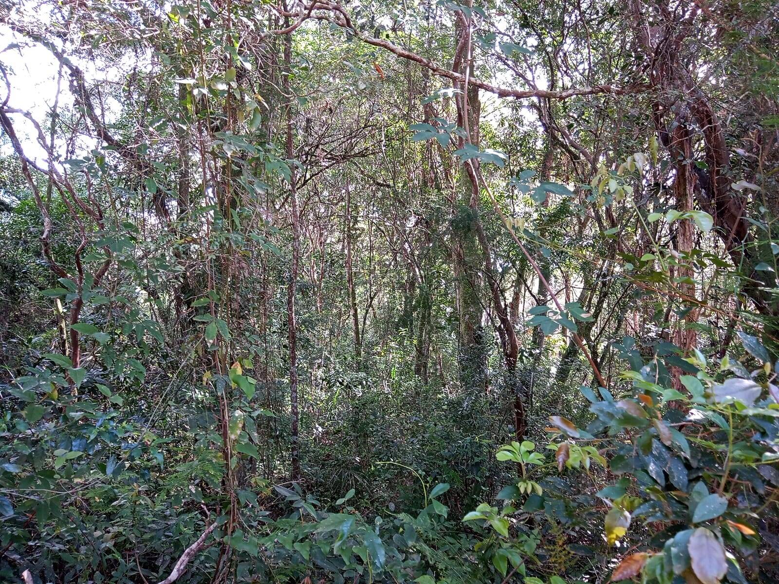 Terreno, 1350 m² - Foto 6