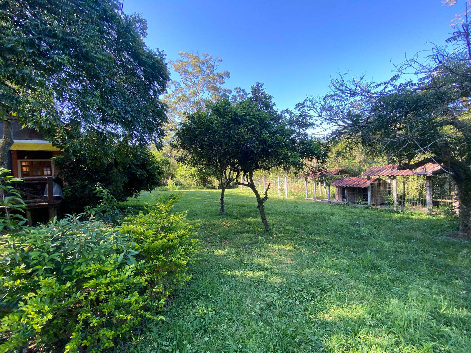 Sítio à venda com 2 quartos, 3000m² - Foto 3