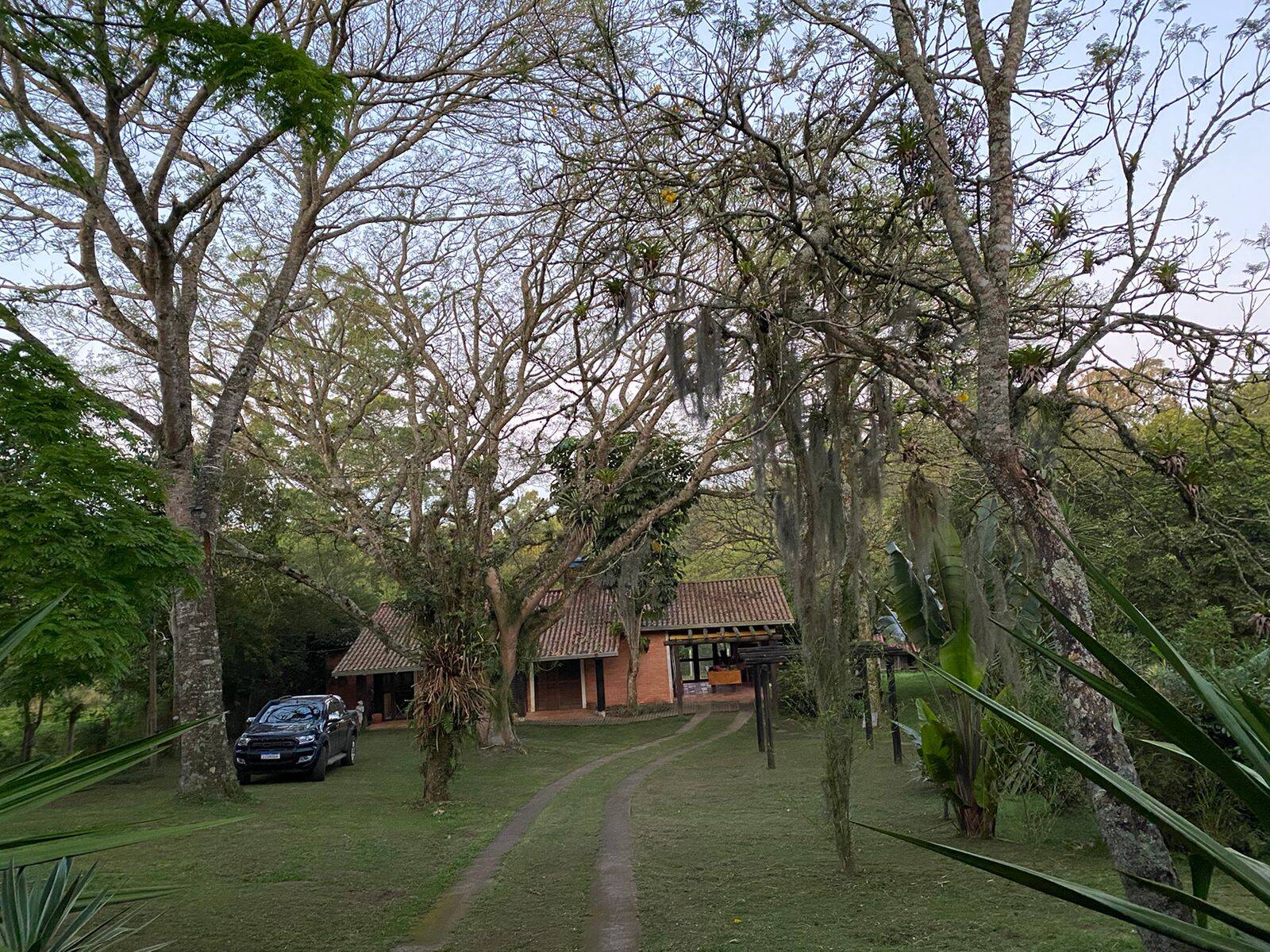 Sítio à venda com 2 quartos, 3000m² - Foto 14