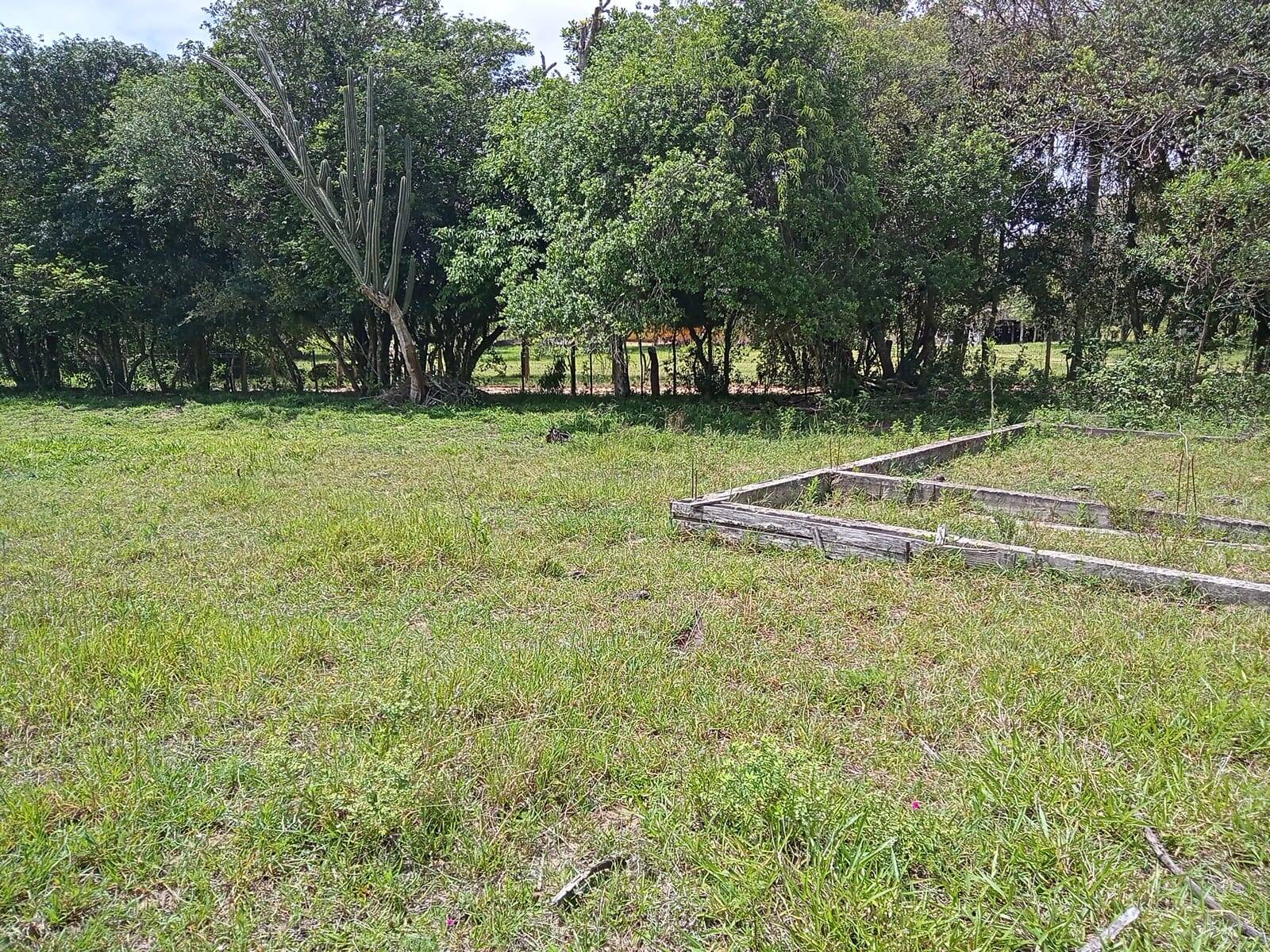 Terreno, 627 m² - Foto 2