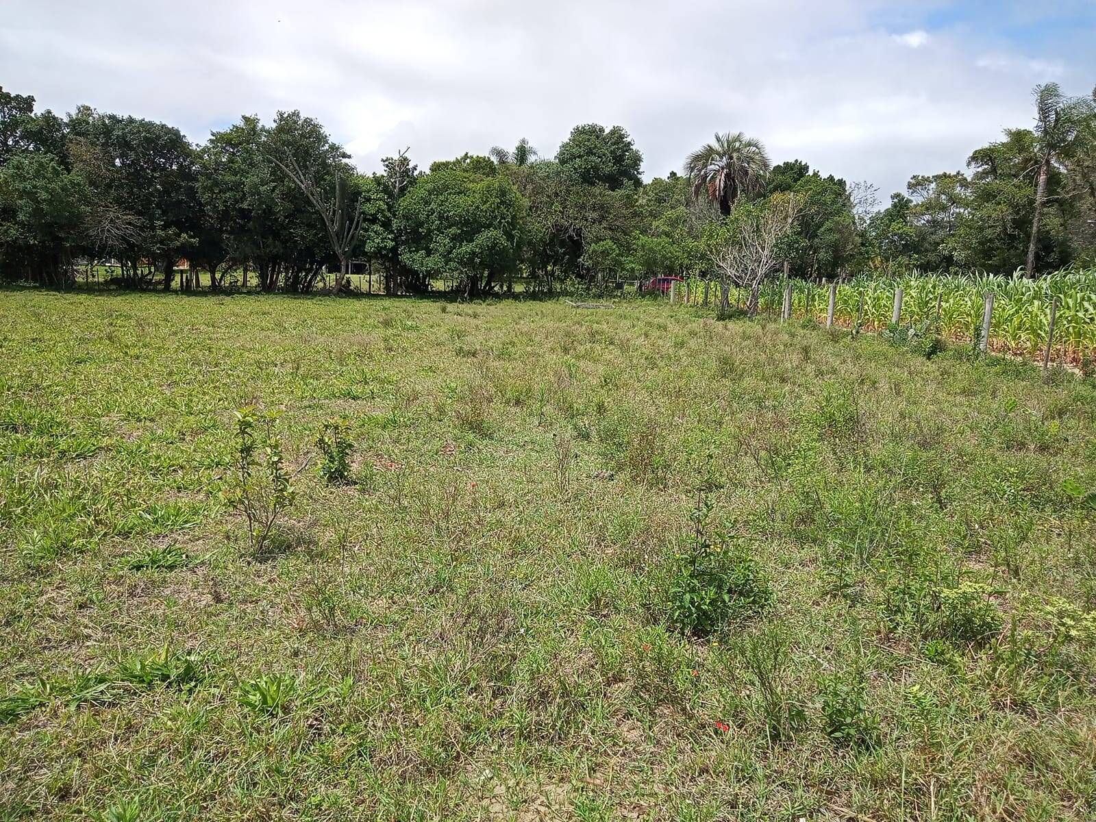 Terreno, 627 m² - Foto 5