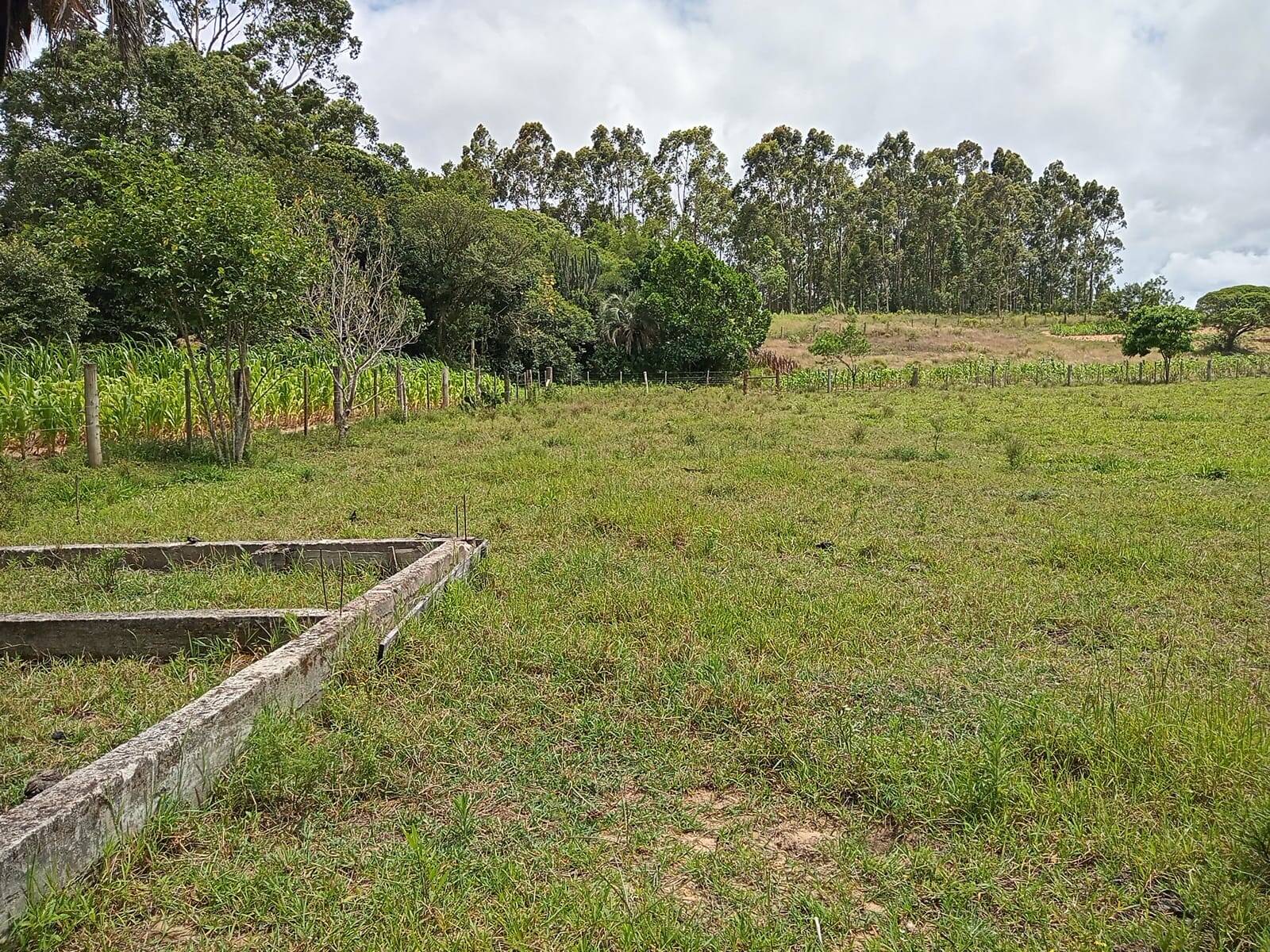 Terreno, 627 m² - Foto 6