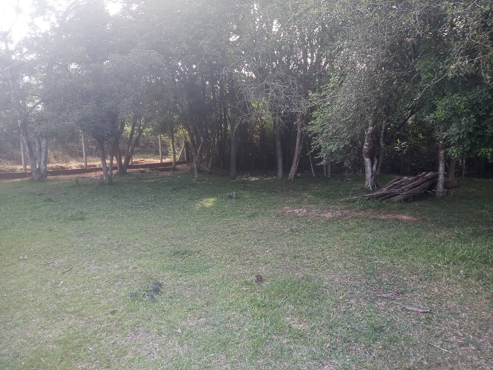 Sítio, 2 quartos, 9 hectares - Foto 32