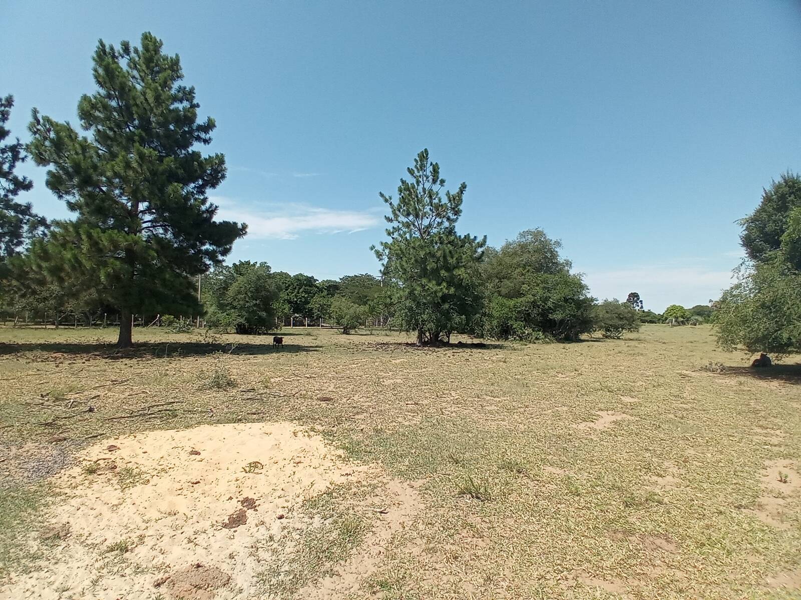 Sítio, 2 quartos, 9 hectares - Foto 22