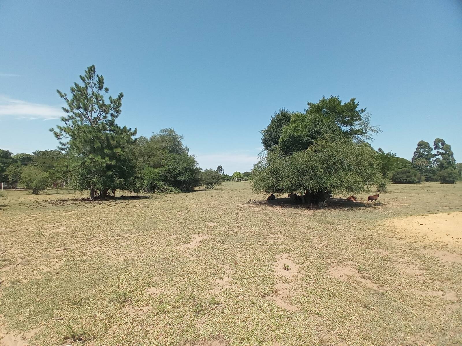 Sítio, 2 quartos, 9 hectares - Foto 23