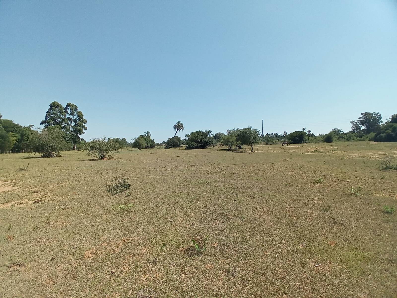 Sítio, 2 quartos, 9 hectares - Foto 27