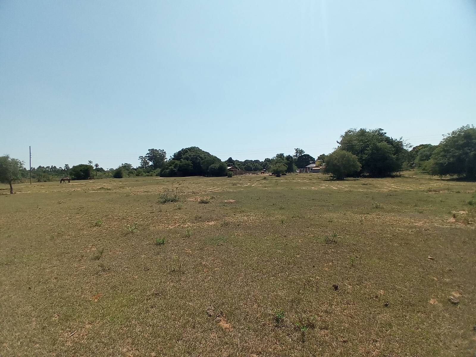 Sítio, 2 quartos, 9 hectares - Foto 28