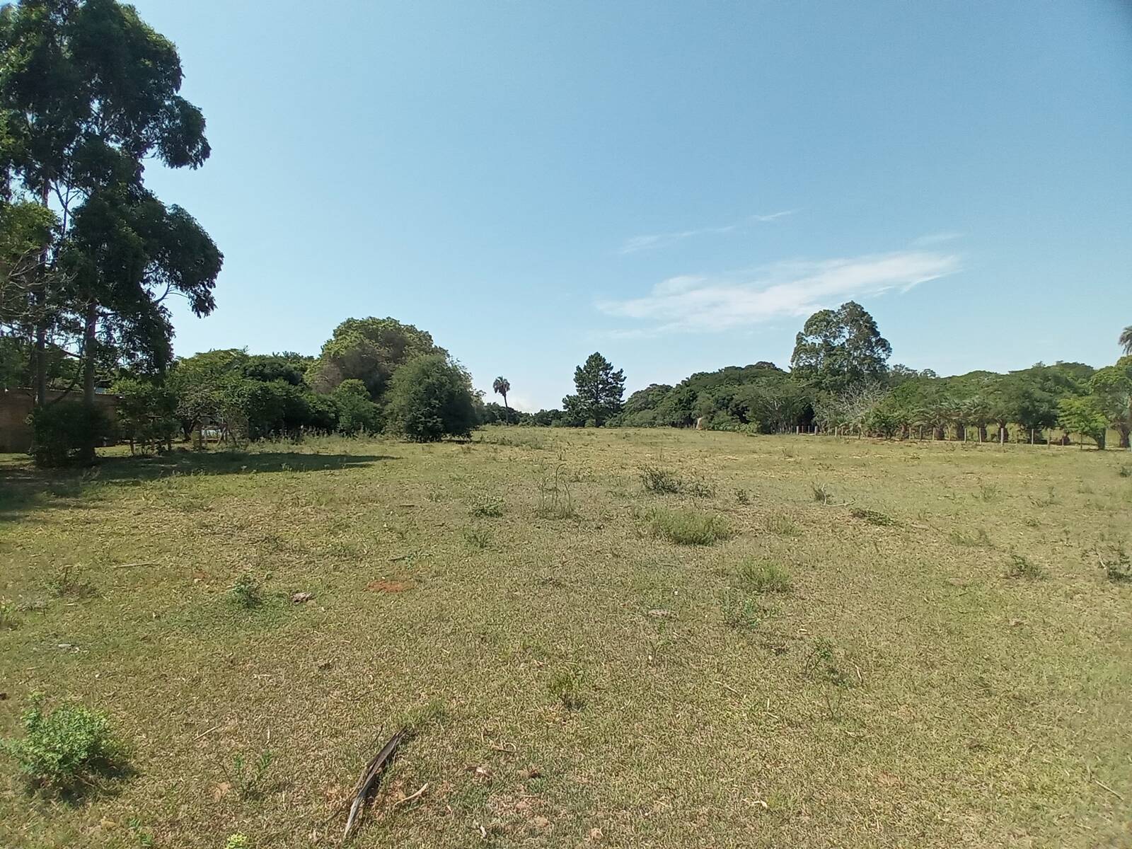 Sítio, 2 quartos, 9 hectares - Foto 29