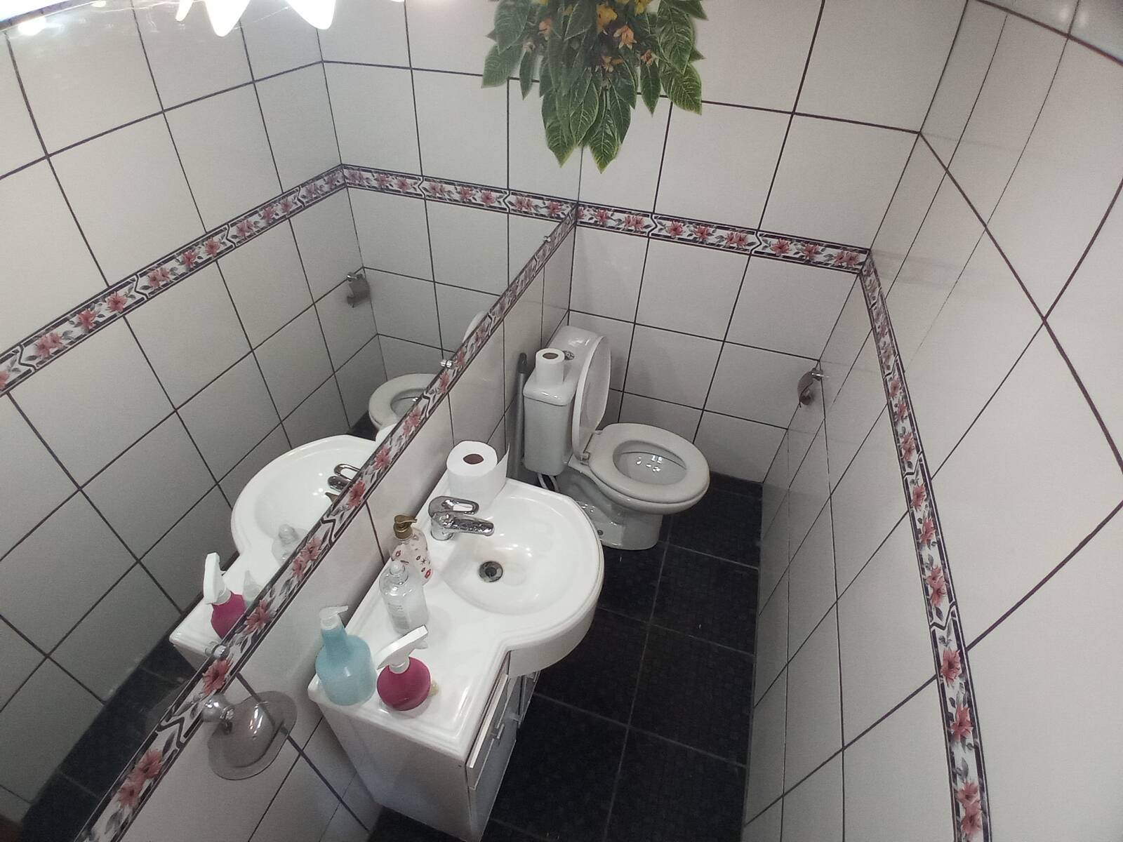 Sítio, 2 quartos, 9 hectares - Foto 12