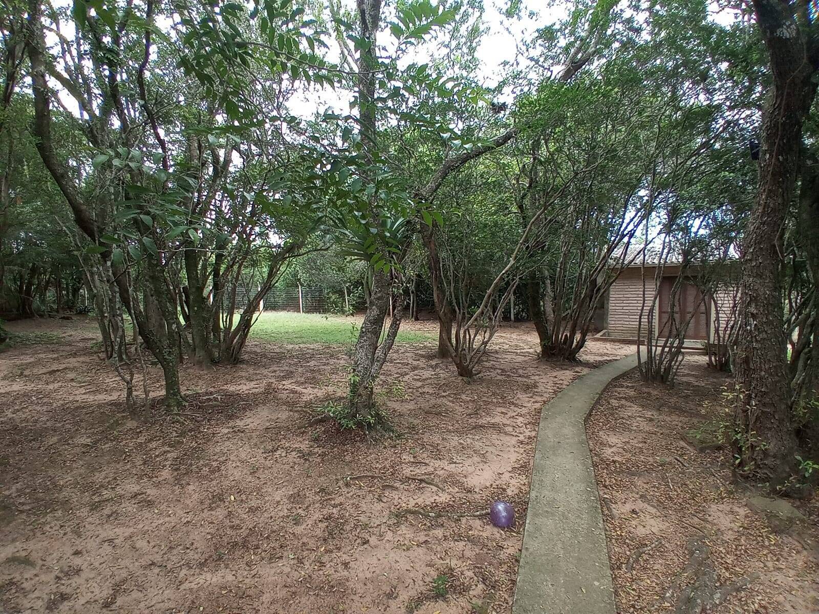 Casa à venda com 3 quartos, 110m² - Foto 29
