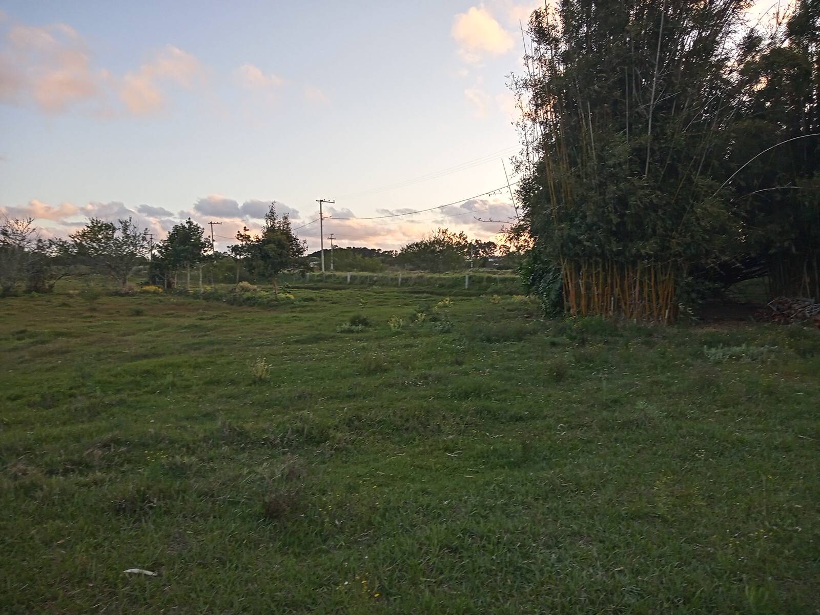 Sítio, 2 quartos, 2 hectares - Foto 13