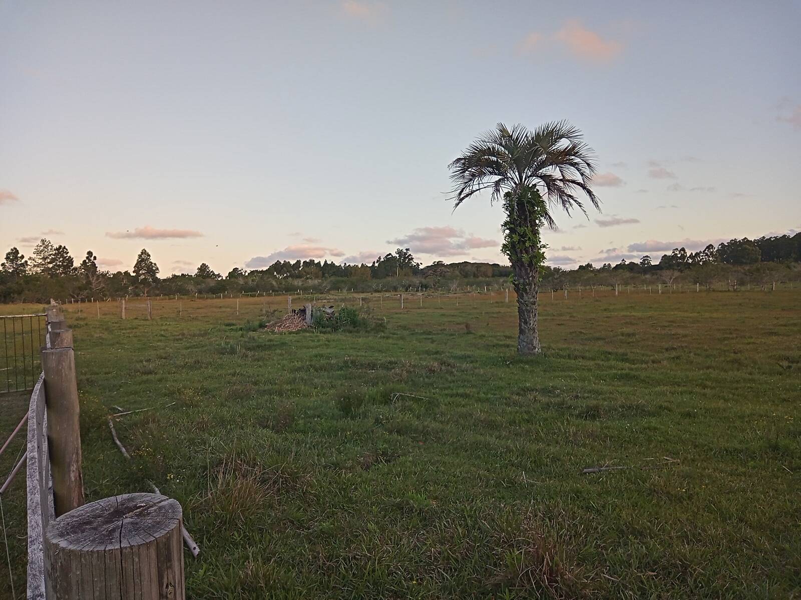 Sítio, 2 quartos, 2 hectares - Foto 16