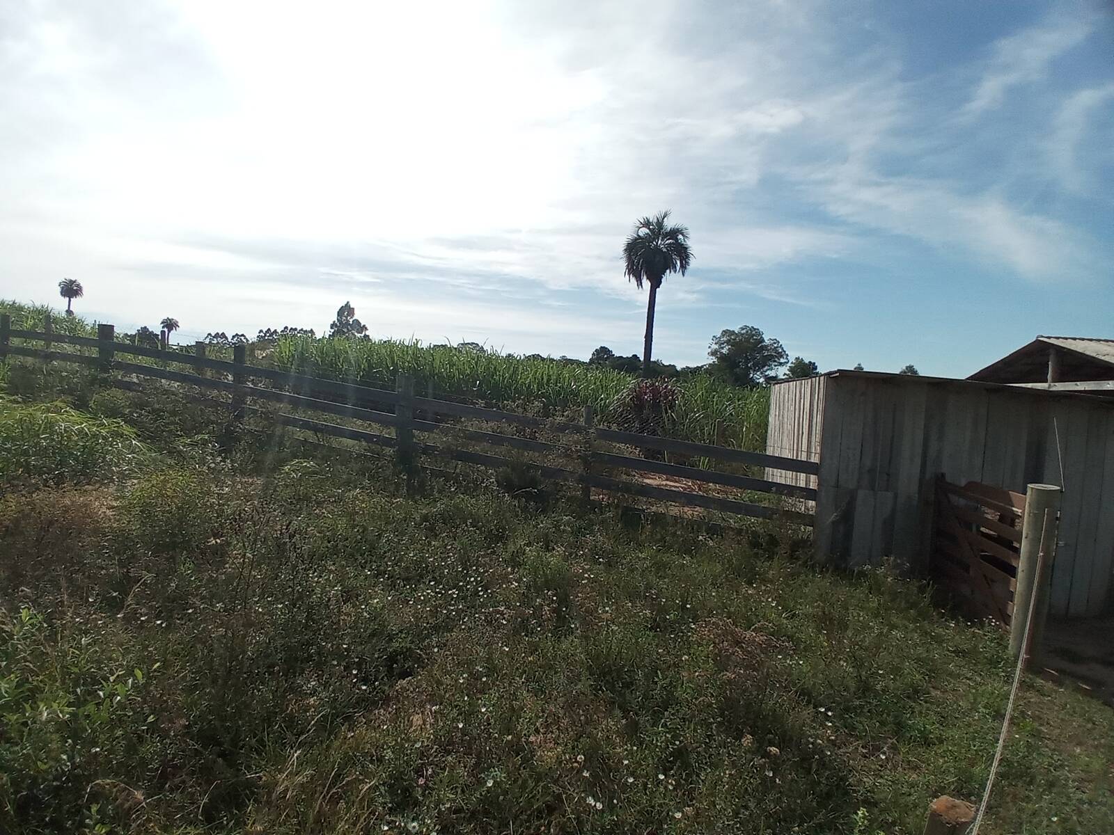 Sítio, 2 quartos, 2 hectares - Foto 23