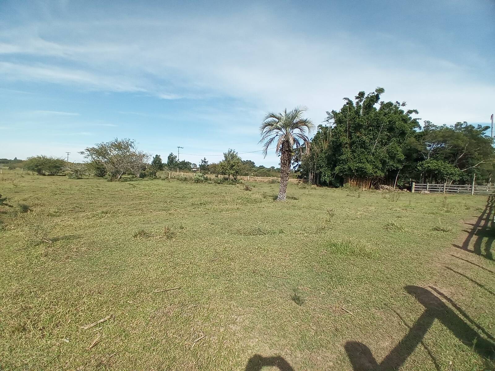 Sítio, 2 quartos, 2 hectares - Foto 26