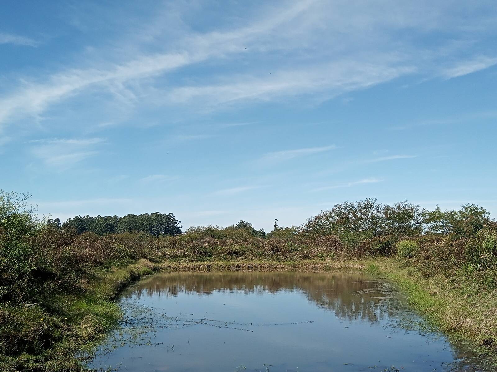 Sítio, 2 quartos, 2 hectares - Foto 15