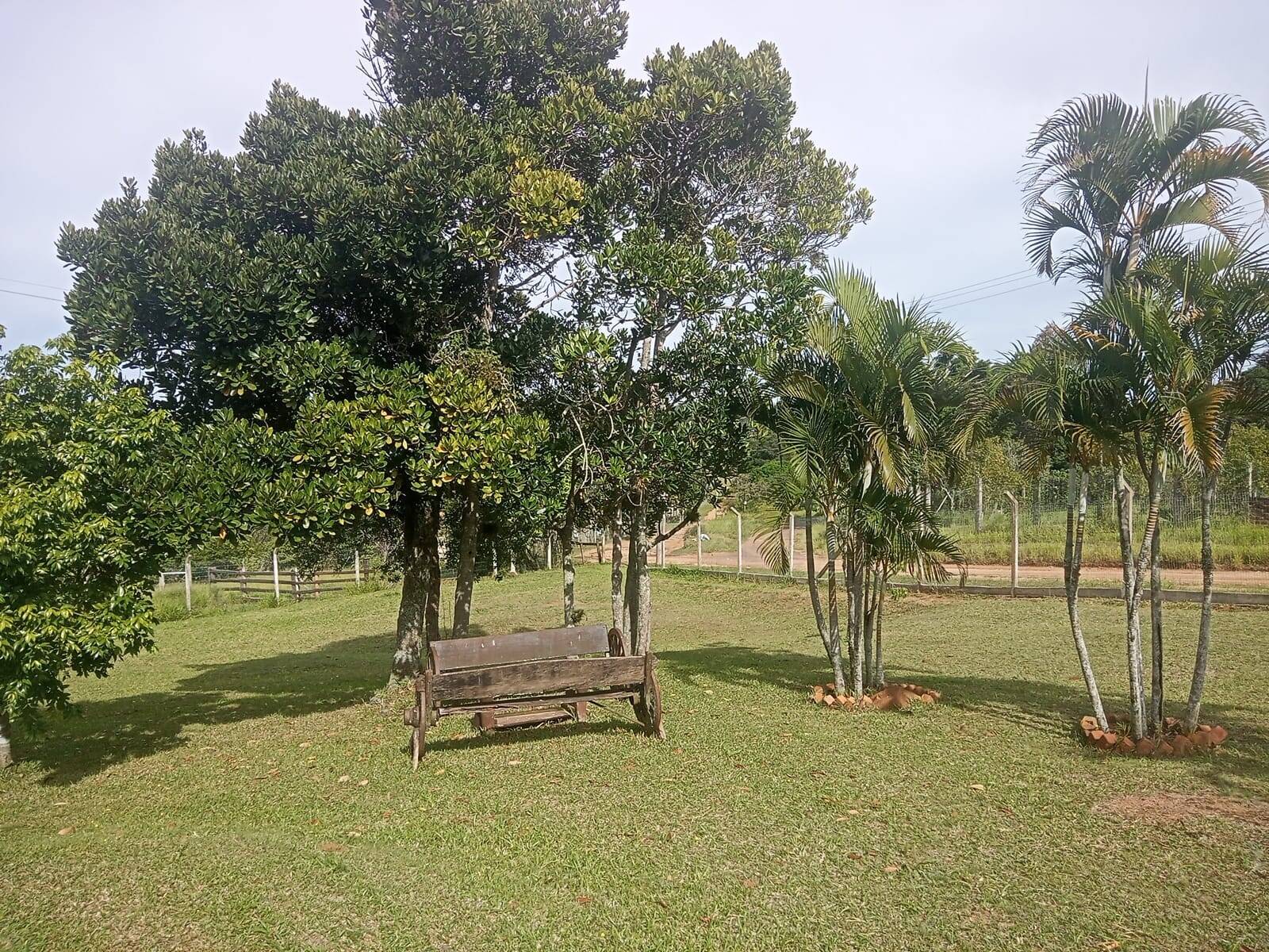 Casa à venda com 3 quartos, 110m² - Foto 5