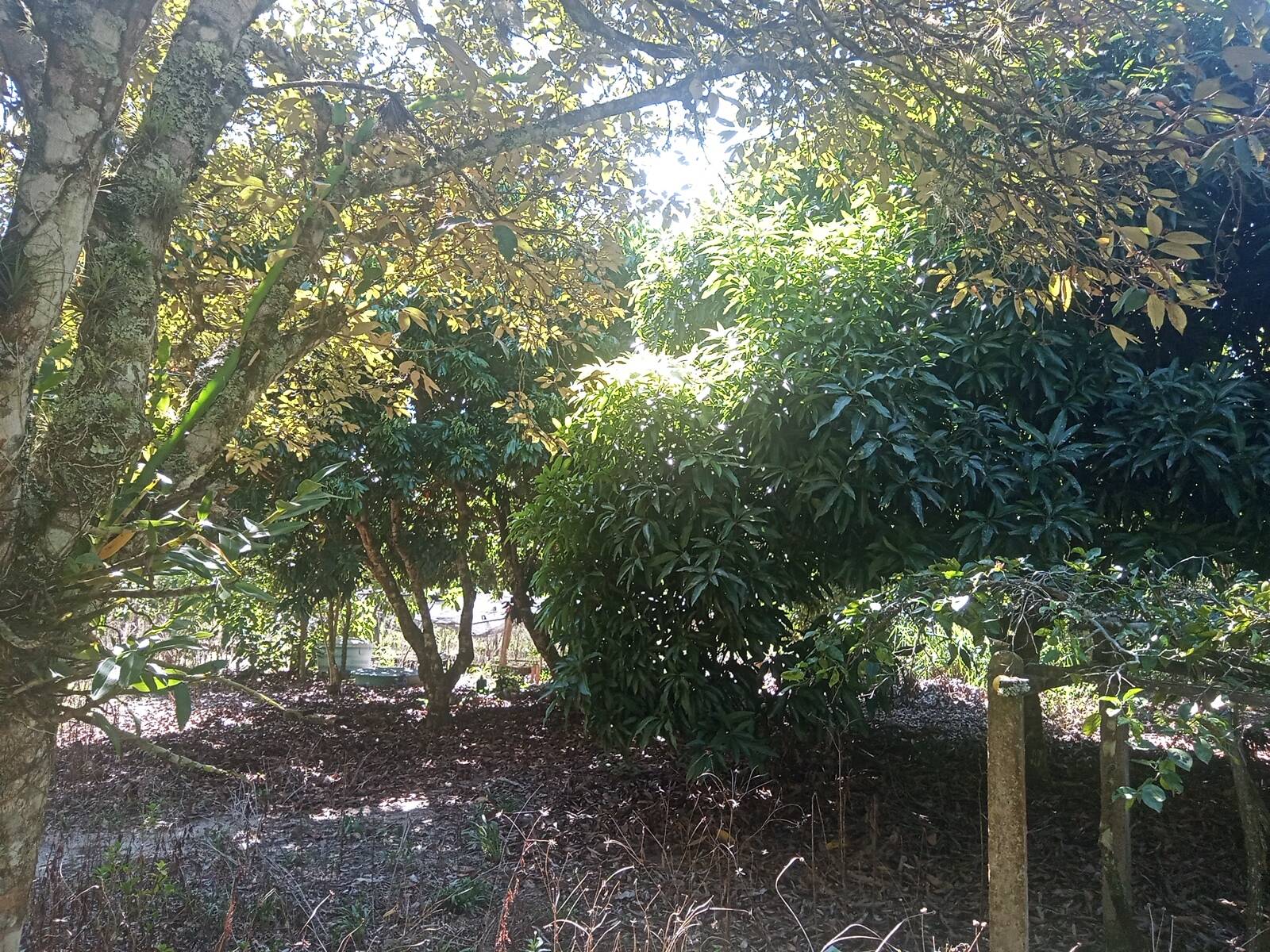 Sítio à venda com 2 quartos, 200m² - Foto 36