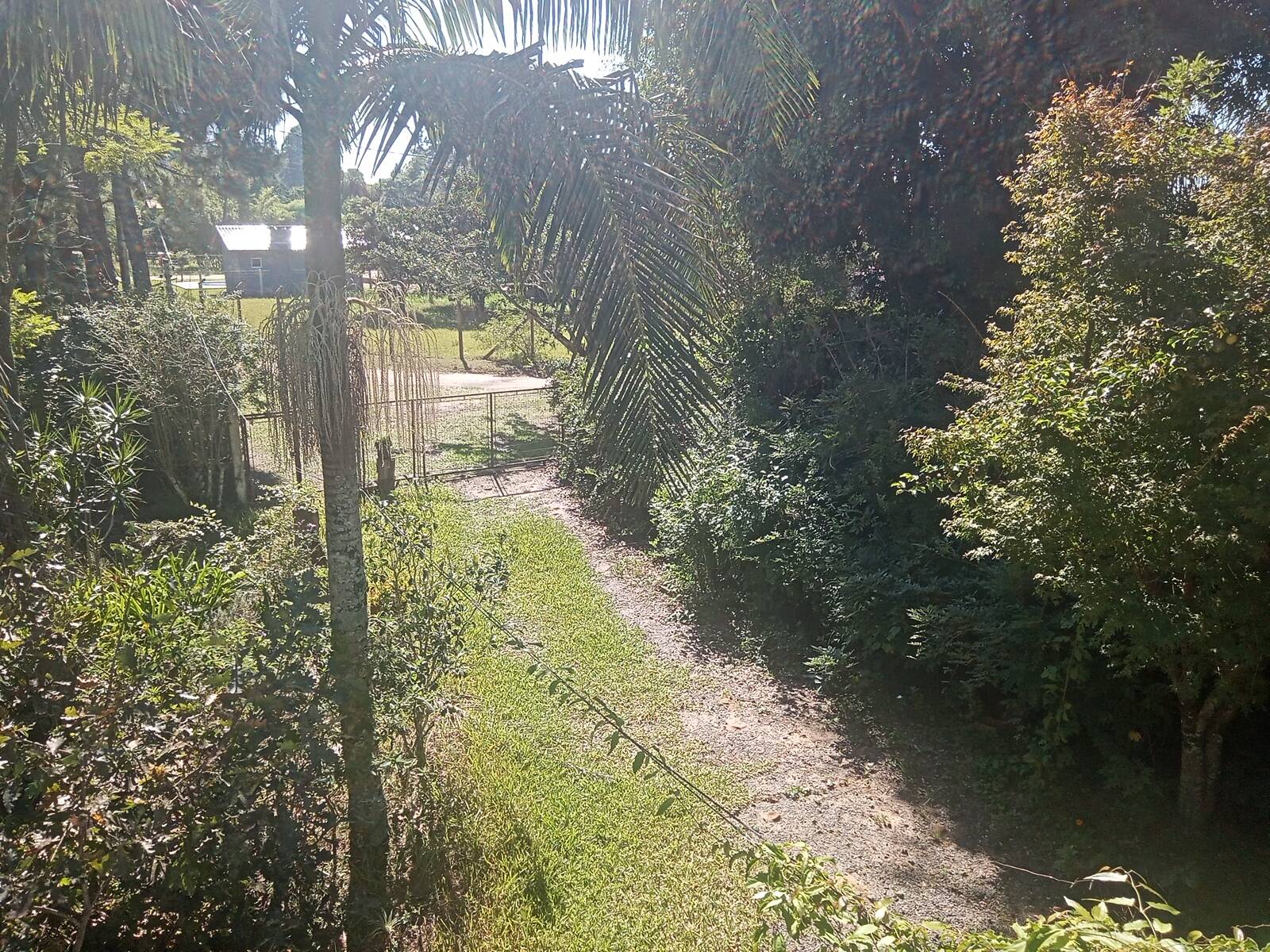 Sítio à venda com 2 quartos, 200m² - Foto 47