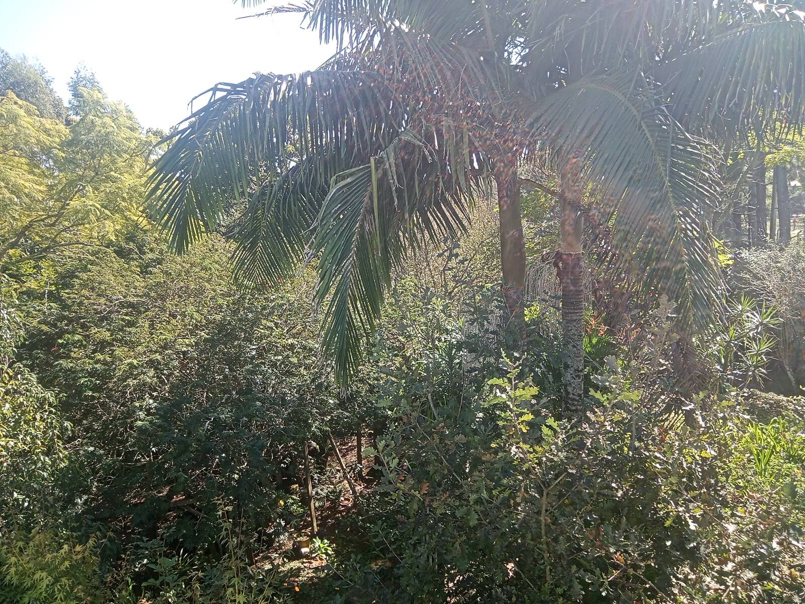 Sítio à venda com 2 quartos, 200m² - Foto 48
