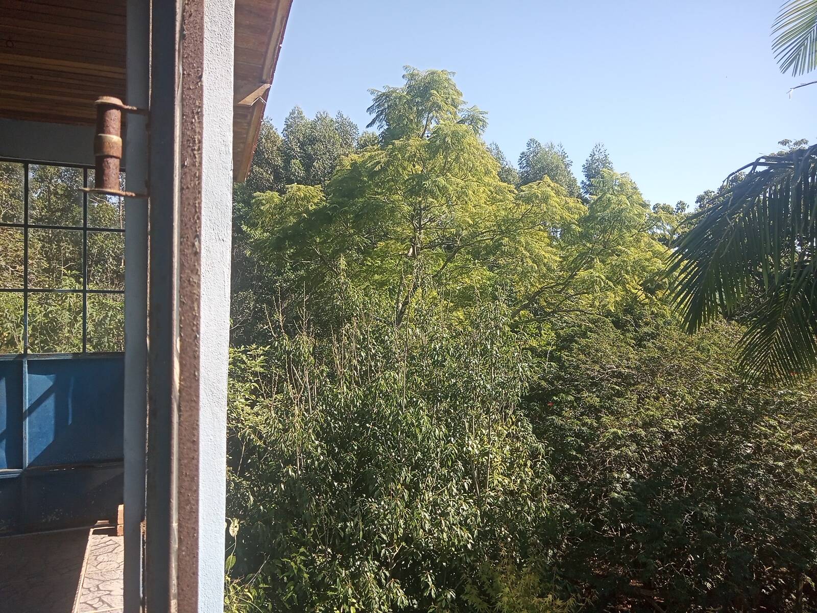 Sítio à venda com 2 quartos, 200m² - Foto 49