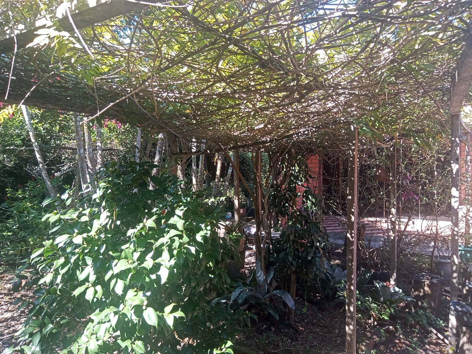 Sítio à venda com 2 quartos, 200m² - Foto 50