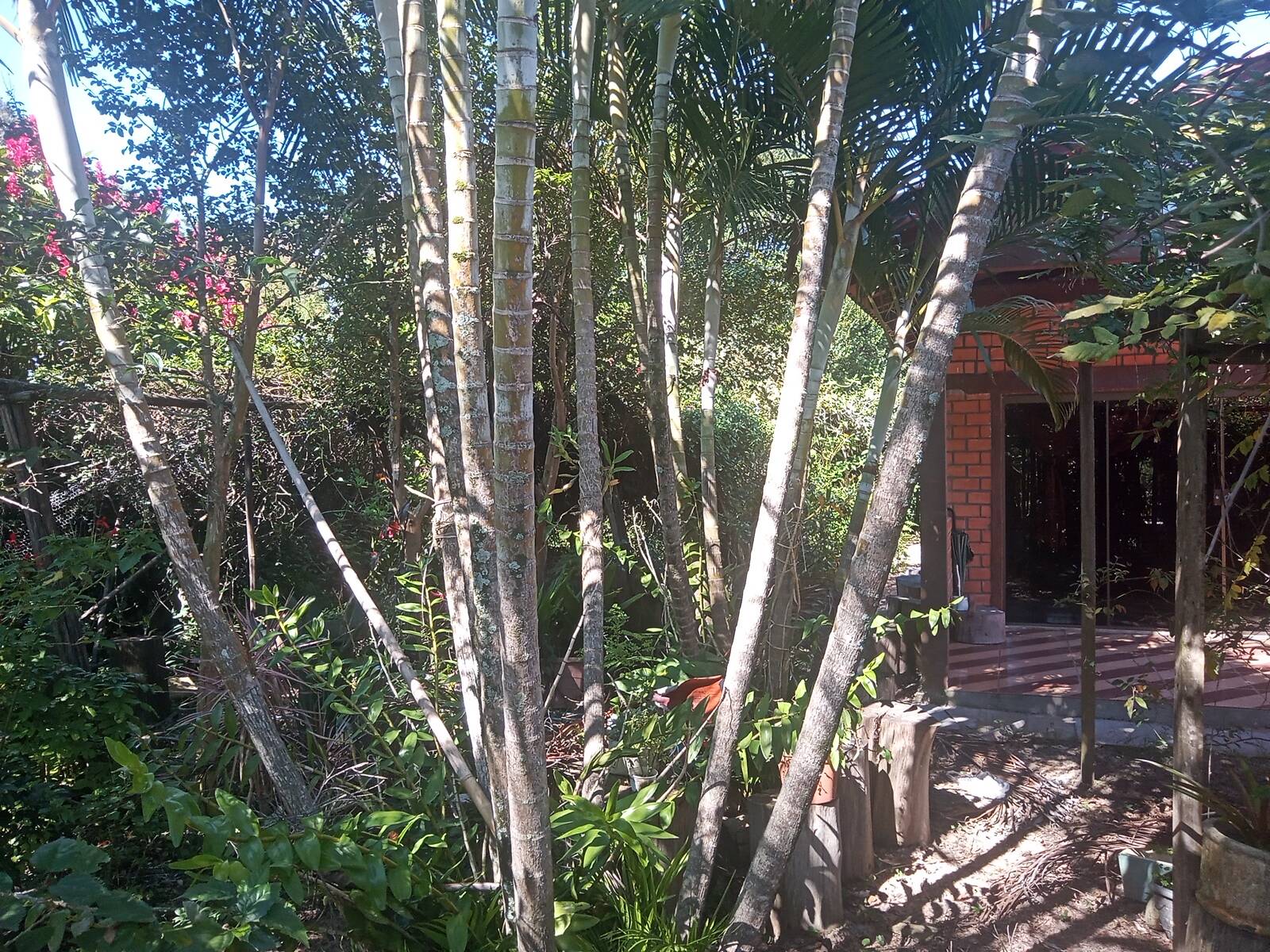 Sítio à venda com 2 quartos, 200m² - Foto 51