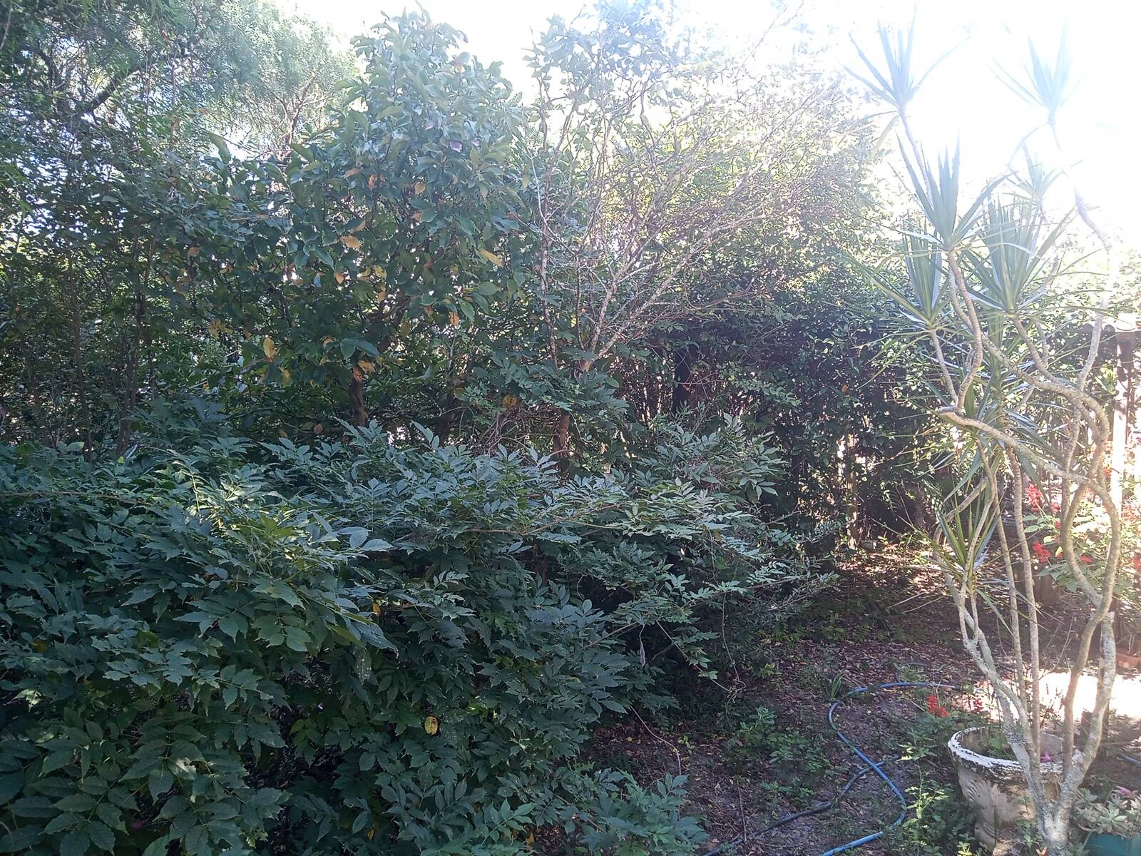 Sítio à venda com 2 quartos, 200m² - Foto 55