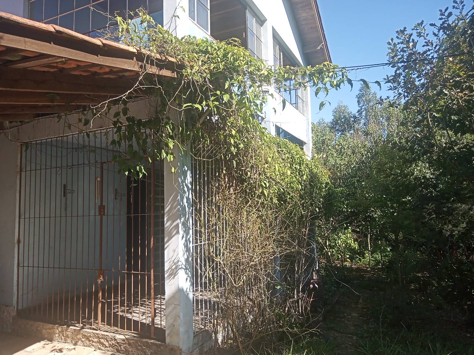 Sítio à venda com 2 quartos, 200m² - Foto 57