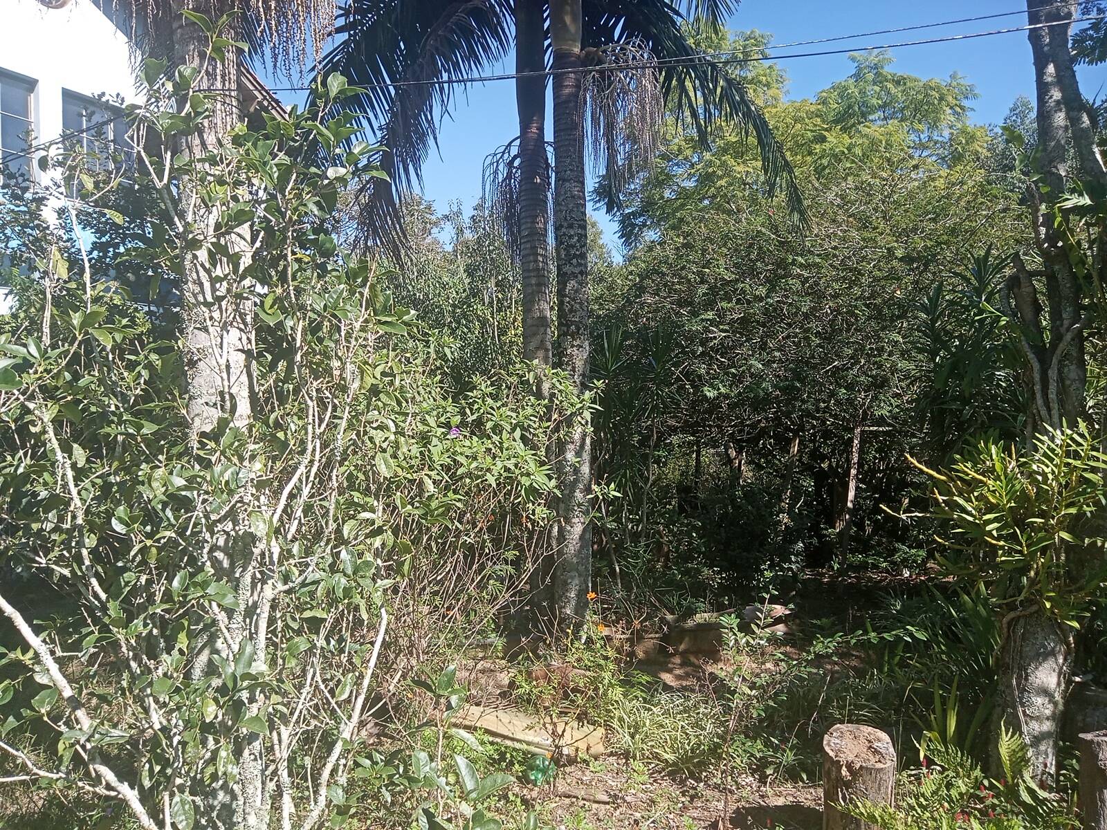 Sítio à venda com 2 quartos, 200m² - Foto 58