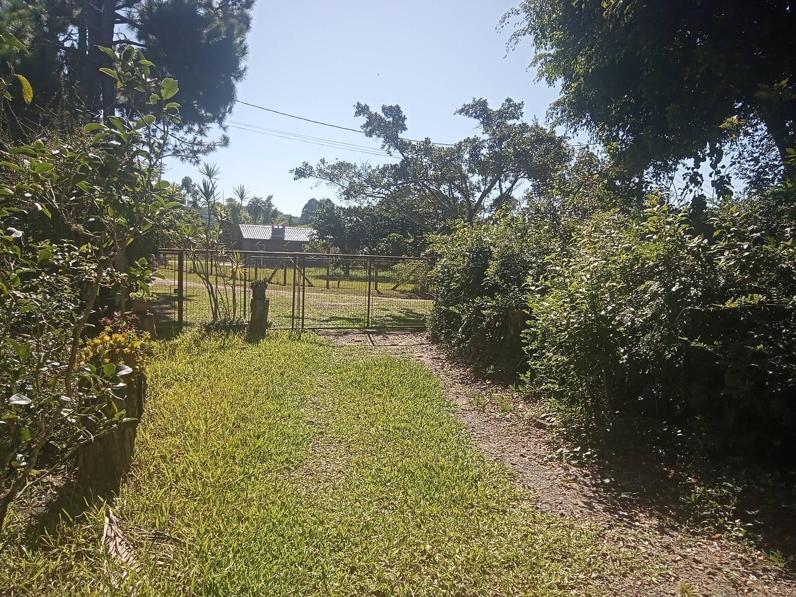 Sítio à venda com 2 quartos, 200m² - Foto 59