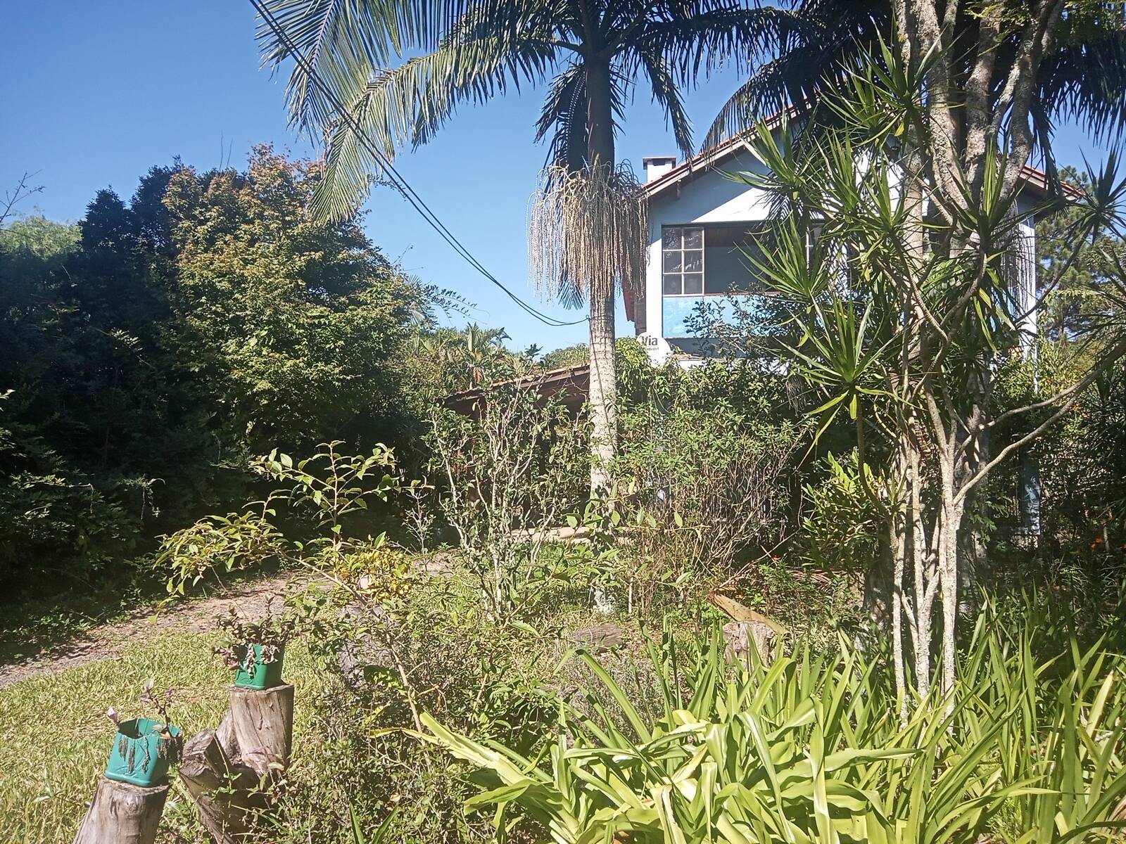 Sítio à venda com 2 quartos, 200m² - Foto 60