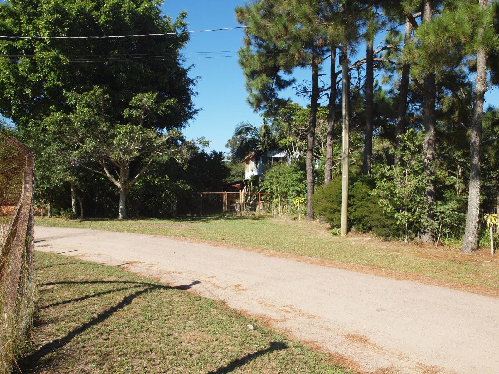 Sítio à venda com 2 quartos, 200m² - Foto 70
