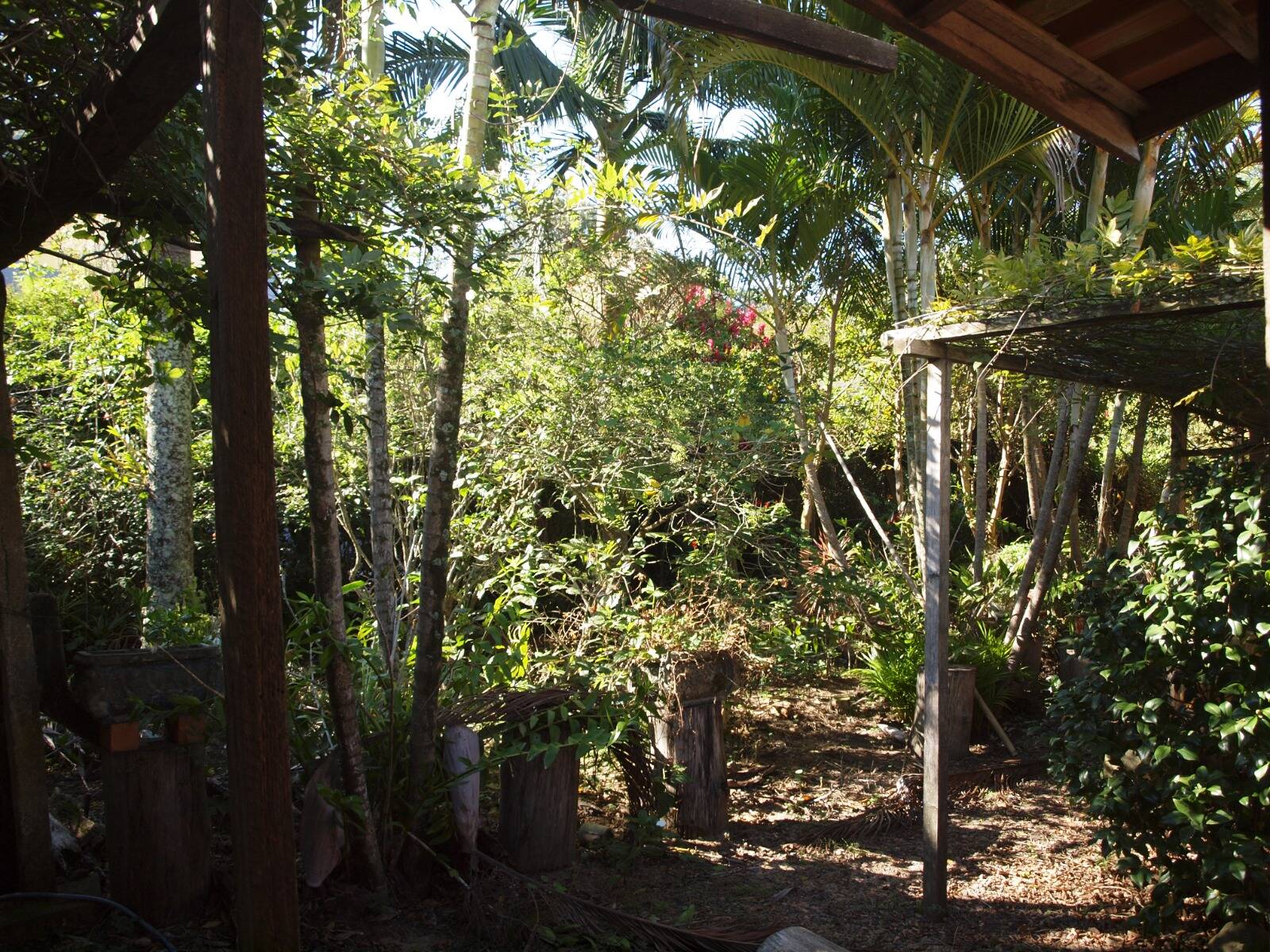 Sítio à venda com 2 quartos, 200m² - Foto 63