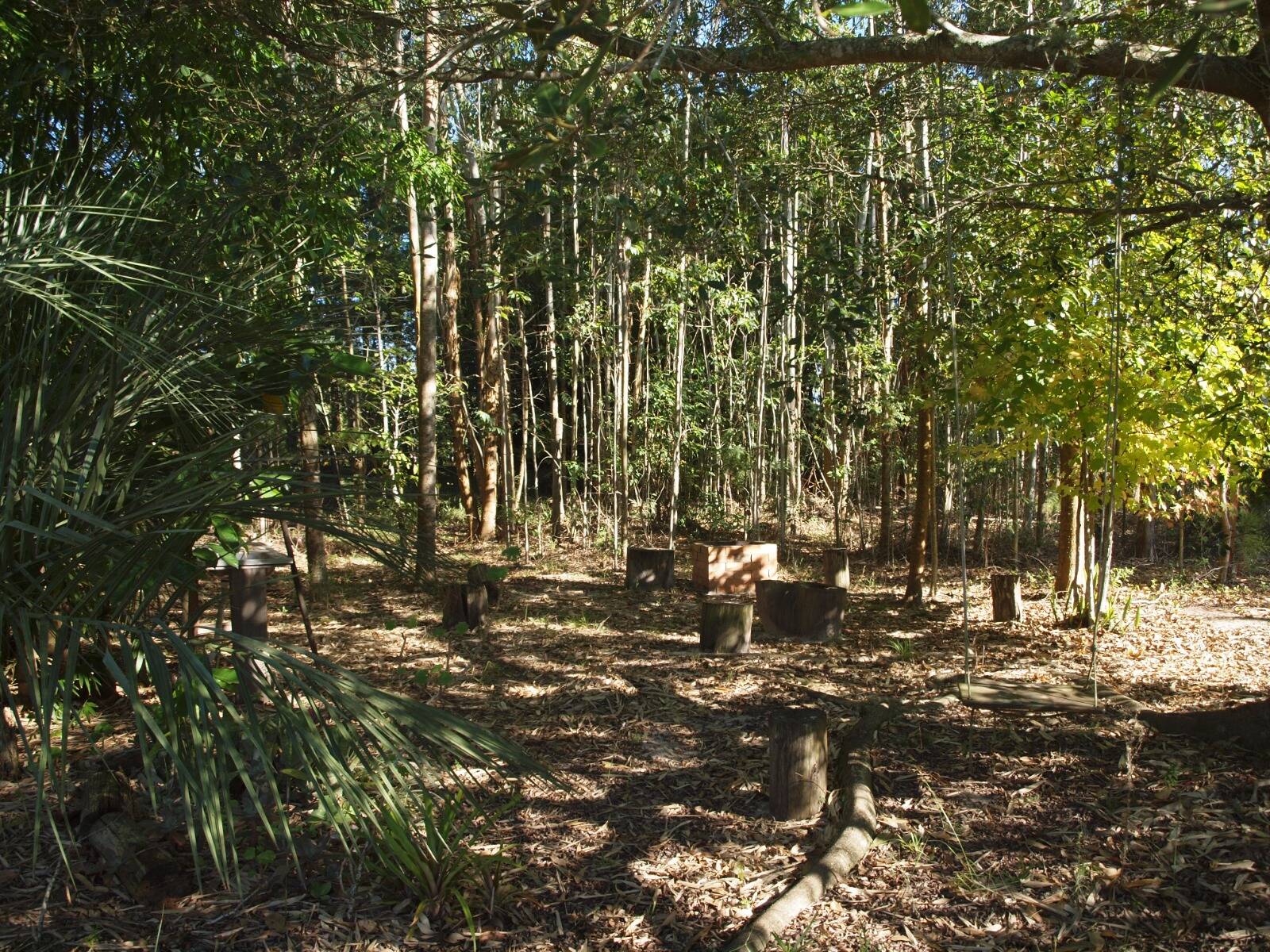 Sítio, 3 quartos, 2056 m² - Foto 24