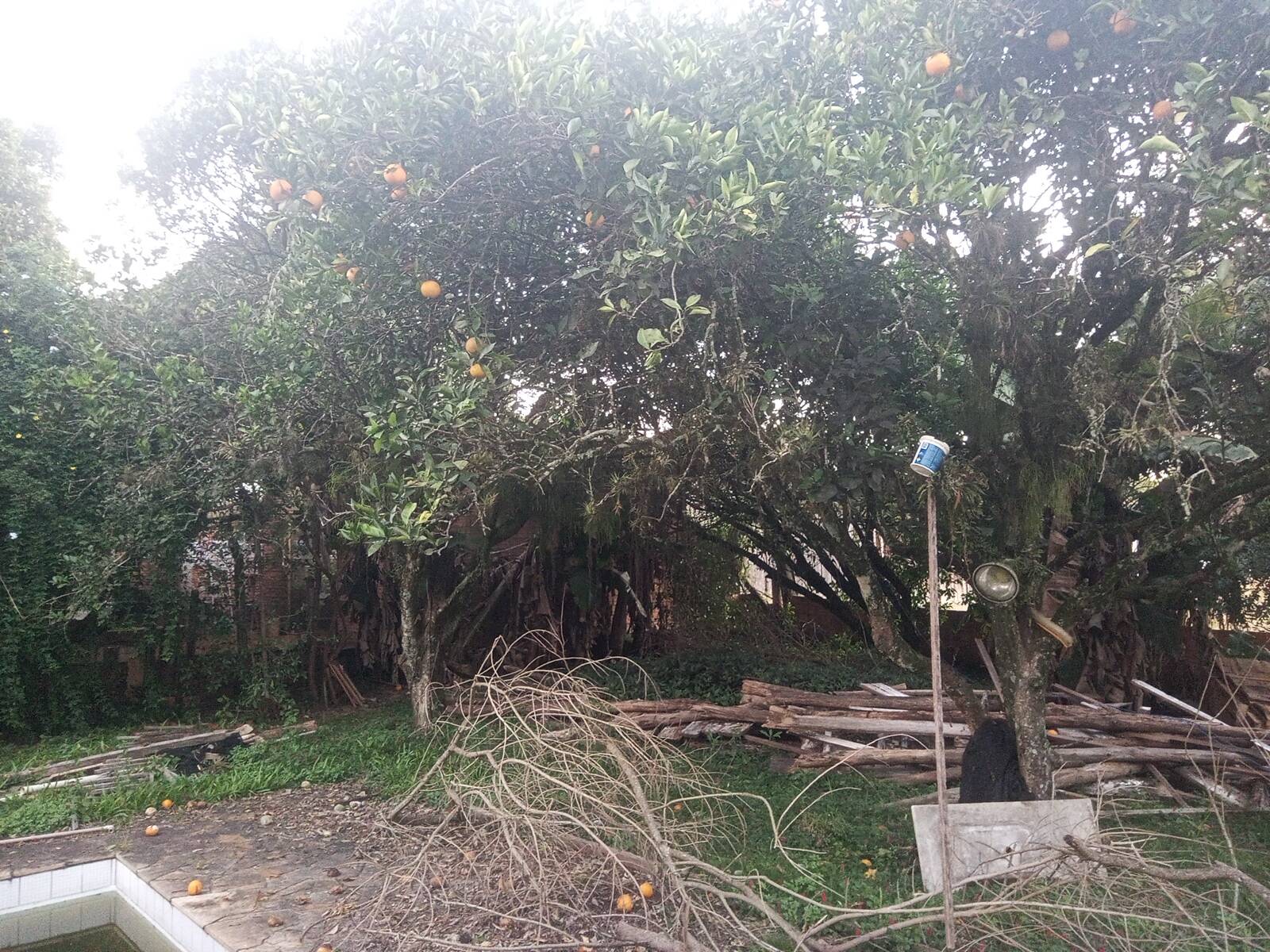 Casa, 3 quartos, 170 m² - Foto 28